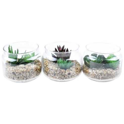 Sukulenty dekorace wve skle 7