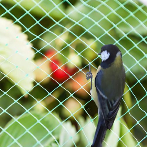 Ochranná síť proti ptákům 10g/m2 17x17 mm 5x10 m Baumax