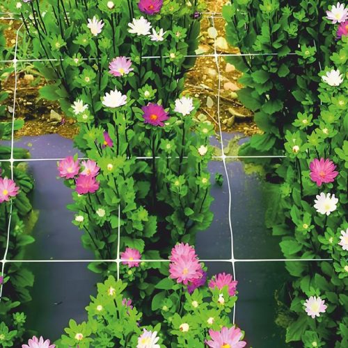 Podpůrná síť pro rostliny 8g/m2 15x17 mm 2x10 m Baumax