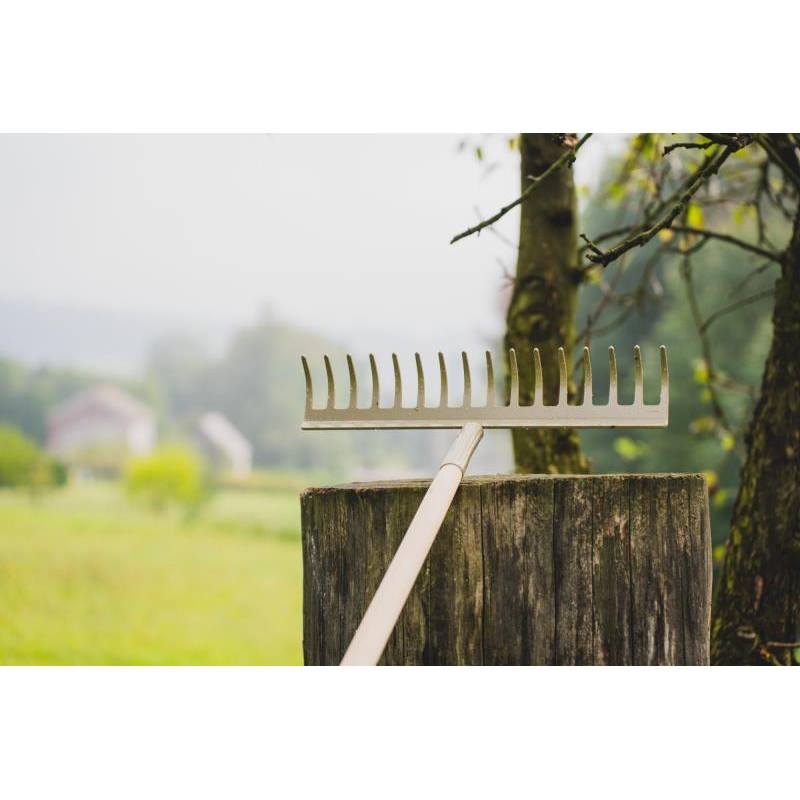 Hrábě 12 zubů WOOD