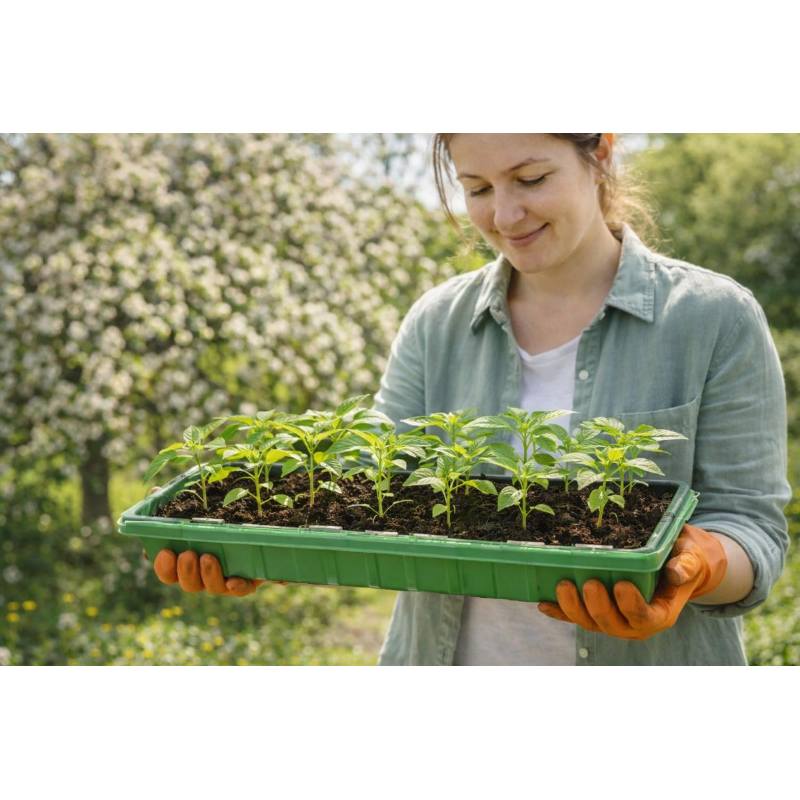 Sadbovač plastový 57