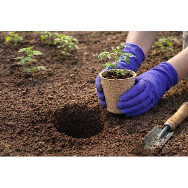 Sadbovač papírový Ø 6 x 6 cm