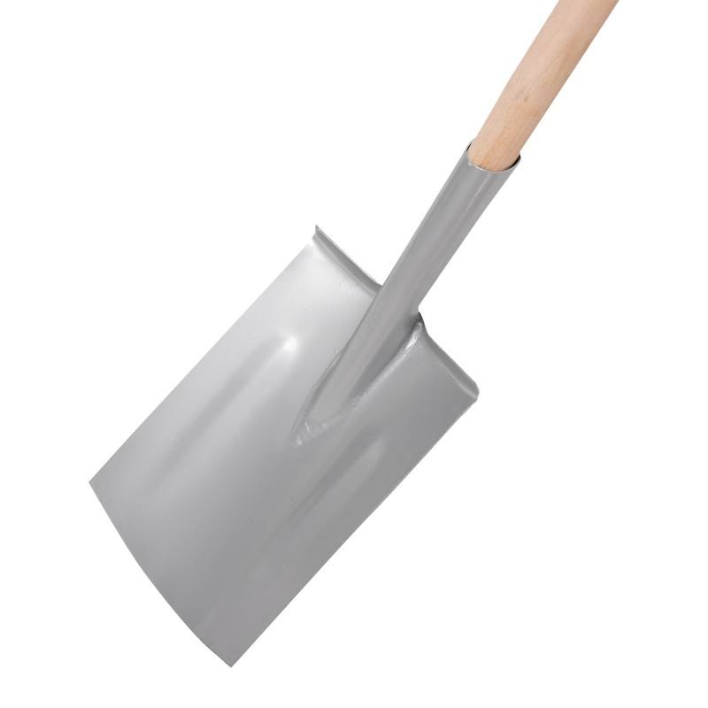 Rýč špičatý